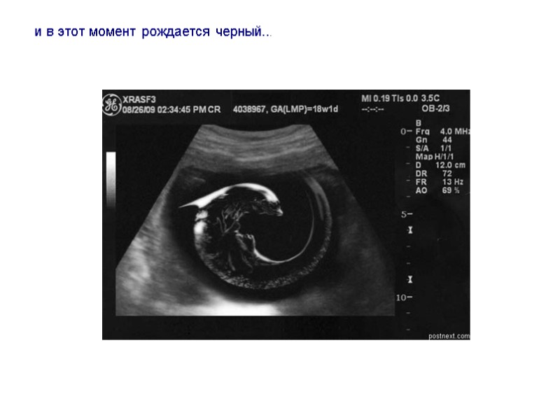 и в этот момент рождается черный...